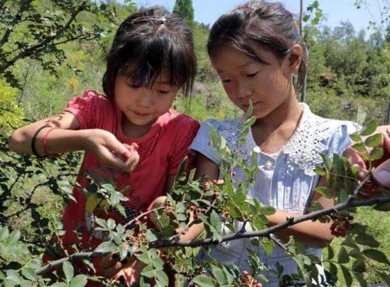 足部|每天坚持用花椒来泡脚,30天不到会有惊人的变化,快去尝试下
