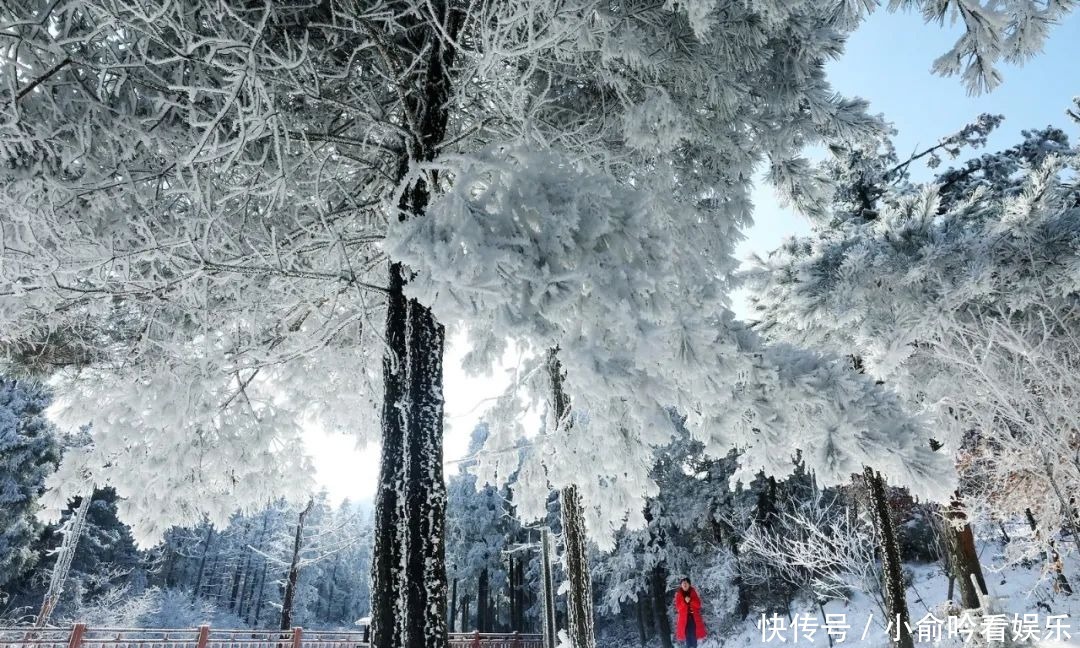 雪景|遂昌大美雪景图！让你一次看个够