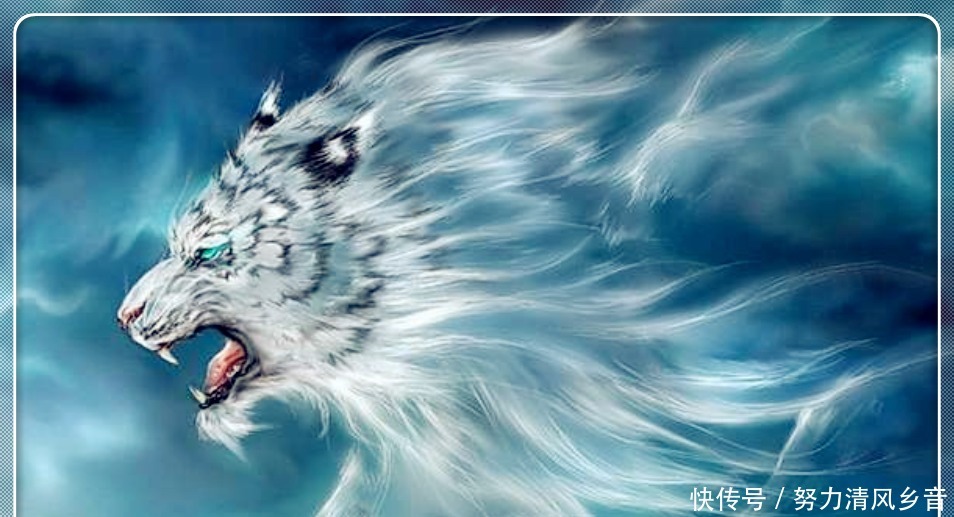 双生武魂|斗罗大陆,唐三身上最强的万年魂技,虽然稀有但是唐三却不愿使用