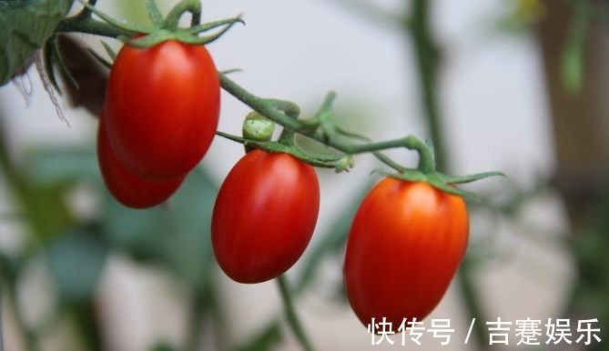 补充营养|爱美女性要多吃3种食物,补充营养、滋润肌肤,好处多多!