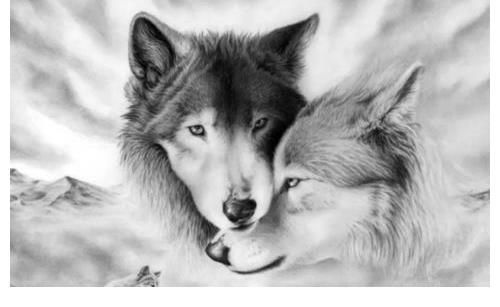 无限恐怖&到目前为止最好看的十部网络小说,读过后许多年仍不能忘怀!