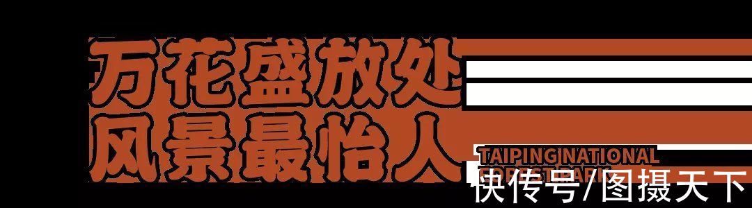 长尾雉|太平峪是北方九寨沟、西安小华山吗？