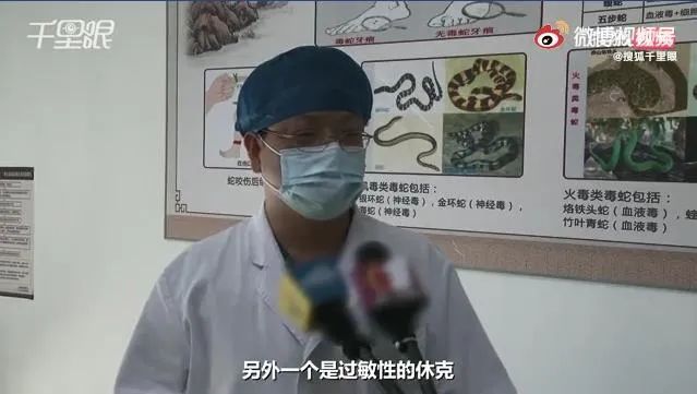 蜂虫|小心！广东一男子被这种昆虫叮咬后休克！