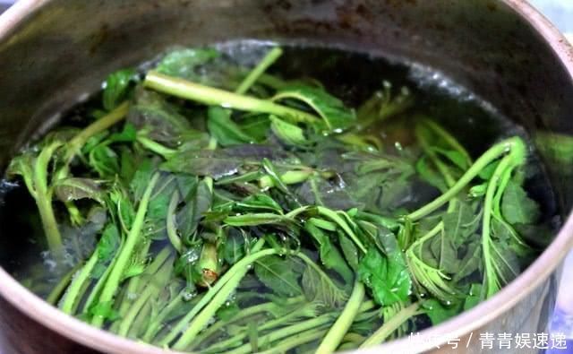 清肺|茴香靠边站,它才和鸡蛋绝配,健脾胃,清肺热止咳,比炒韭菜好吃