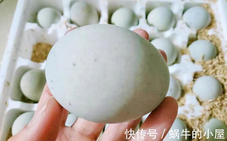 买皮蛋,学会3个判断方法,轻松买到好皮蛋,不再怕买错吃亏