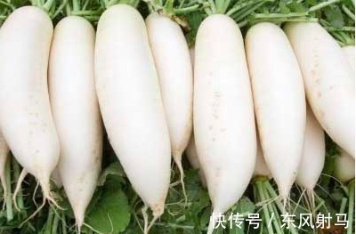 禁忌|白萝卜好吃却不能乱吃,冬天吃白萝卜有一大禁忌,还很多人不清楚