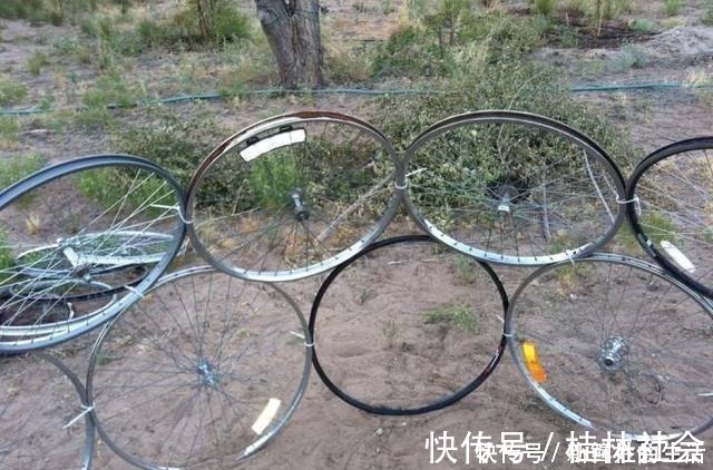 车轮|找到不属违建的阳光房了,用车轮做框架,不用一块玻璃盖成阳光房!