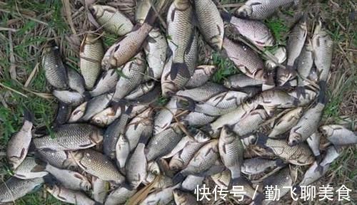 天冷钓不到鱼?那是策略不对路子,5个调整策略,助你板鲫连竿上