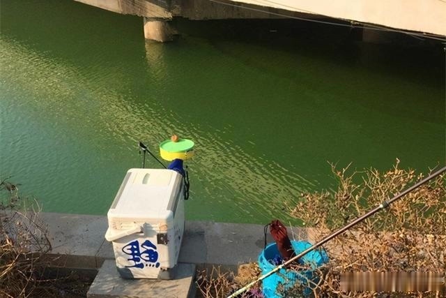 暗草|天气越冷越要找鱼窝，鲫鱼喜欢藏在这些地方，找准位置下钩就上鱼