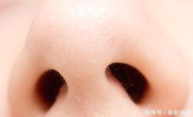 鼻子毛跑出来,应该拔掉还是剪掉?怎么才是不伤害肌肤的办法?