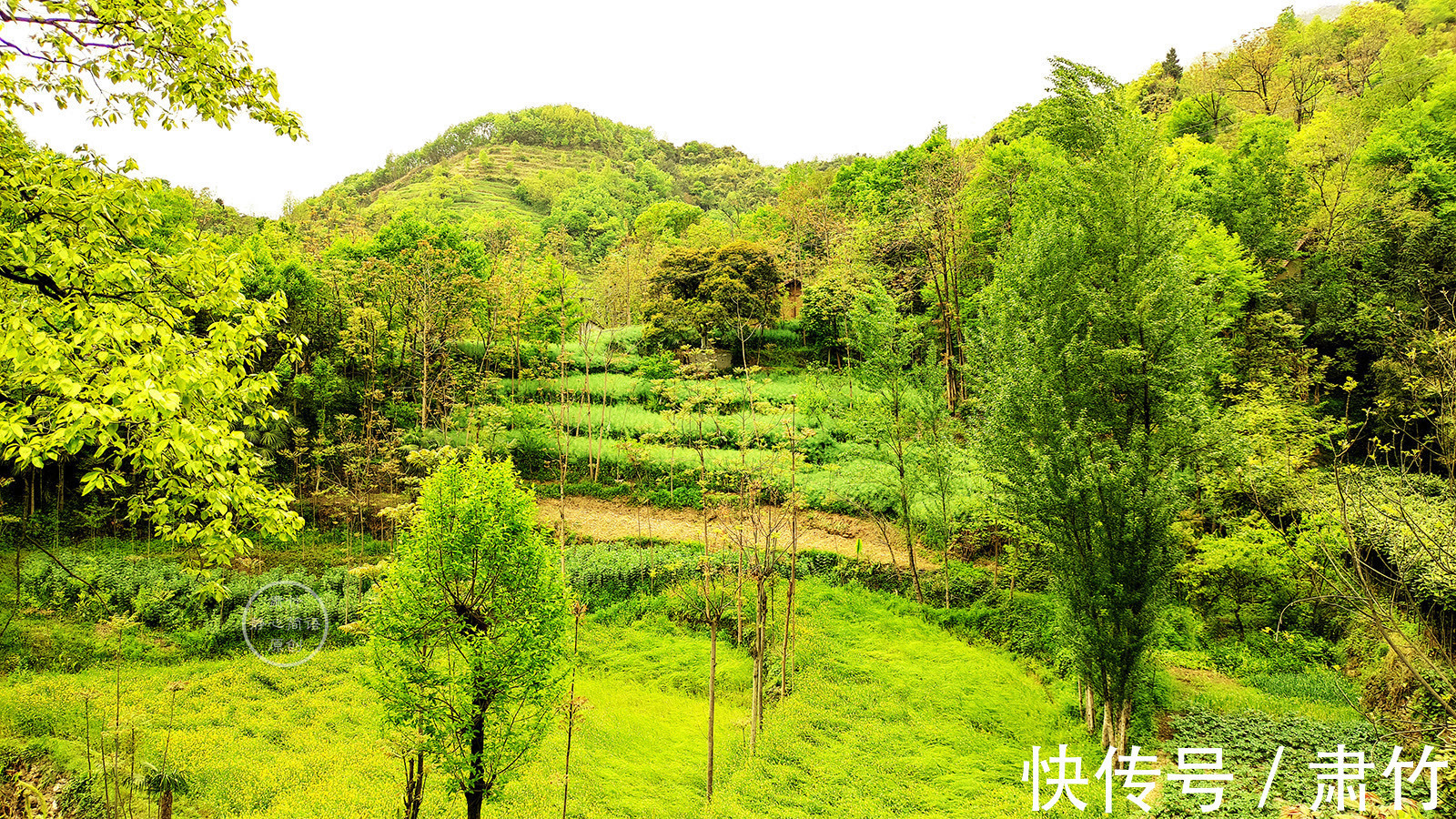 雾蒙|秋雨中，怀念山中放牛的岁月