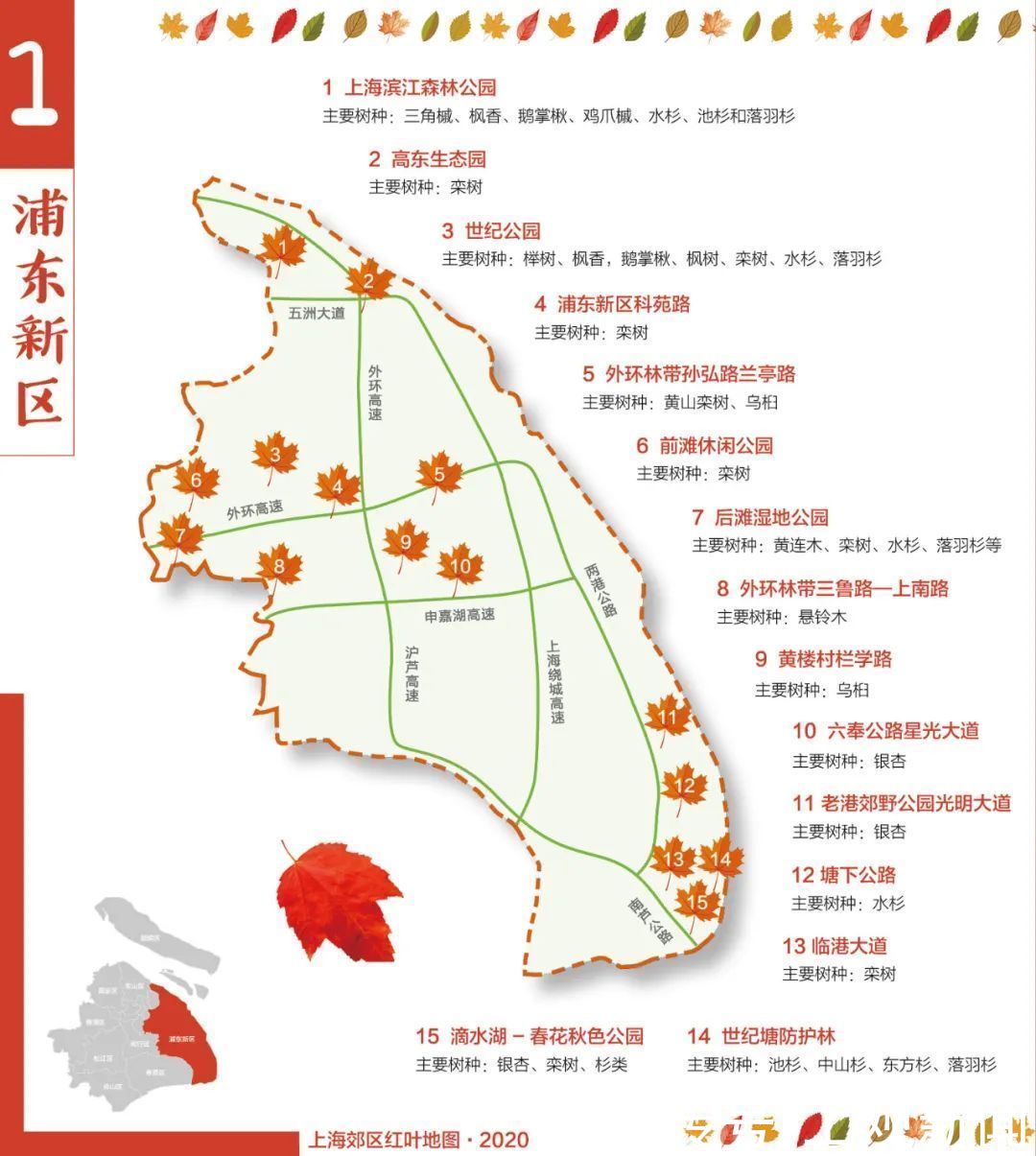 红叶 上海9个郊区最新红叶地图发布 一起来欣赏这幅五彩斑斓的画卷吧 红叶 郊区 地图 画卷 欣赏 上海 易坊好文馆
