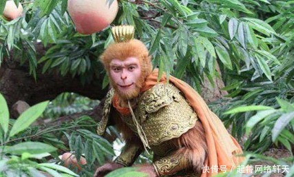 孙悟空|孙悟空成佛之后,为何不敢回花果山?他做的这件事对不起猴子猴孙