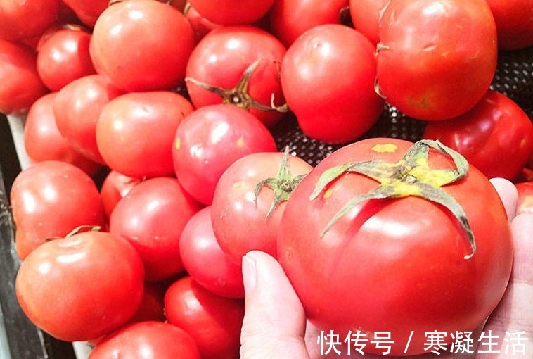 种植户|西红柿打没打激素,种植户教你一招,牢记这“3不买”,一眼看出