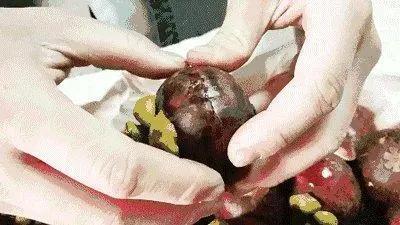 椰枣|立夏后,建议大家5种水果敞开吃,比抽烟喝酒强,营养极高