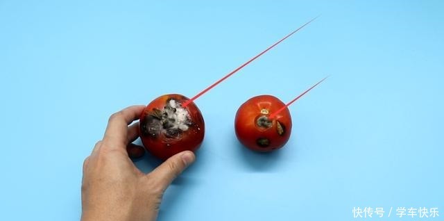 西红柿烂了别丢,越烂就越好,以前丢掉都浪费了!