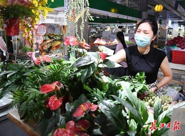 公示屏|掀开纱帘进门就惊呆了，这个生鲜市场逛完心情美一整天