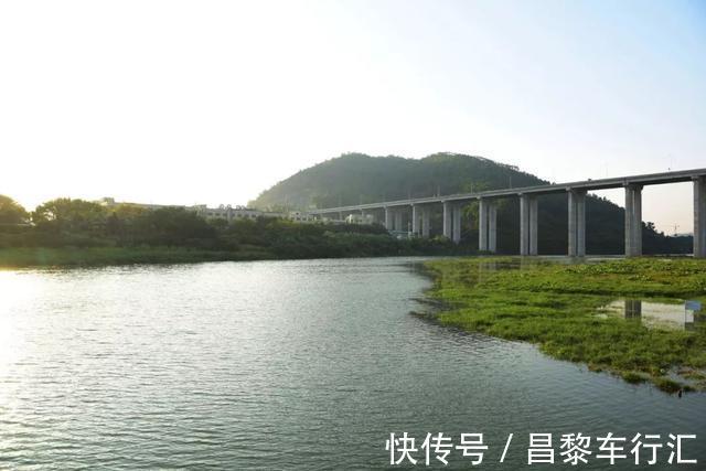 鱼王？东莞石马河“巨型胡子鲶”被钓起，钓友：再大，也不敢吃