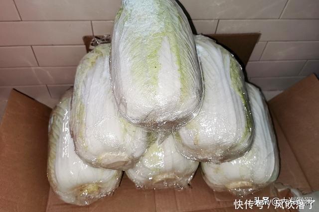 保存|白菜买多了怎么保存姐教我一招,做法超简单,能放好长时间
