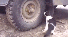 |搞笑GIF: 恐怕你要换一条裤子了 姑娘想都没想直接就坐了上去