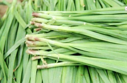 肝脏|脂肪肝的“克星”来了,连吃一个月,赶走脂肪,肝无忧!