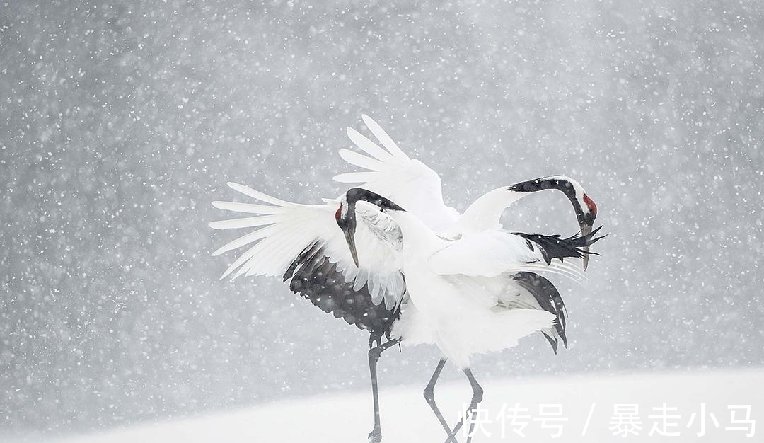 清风明月!谁说当代无好诗?推荐34首好诗,送给苍凉冬天,像一壶老酒温暖你