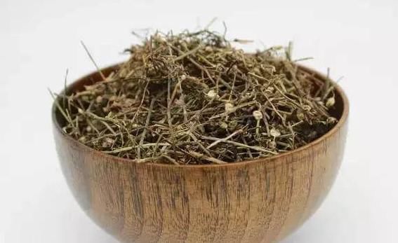 恶性肿瘤|此中药有“抗肿瘤”的妙用,很受老中医的欢迎,可名字却很奇怪