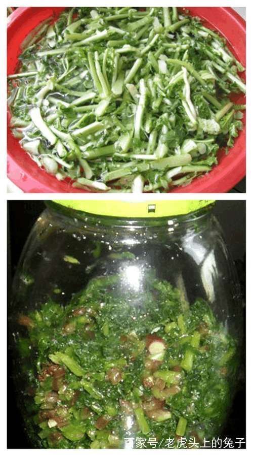 吃法|很多人把它当垃圾,谁知道含钙量第一,养颜瘦身,冬天正好包饺子