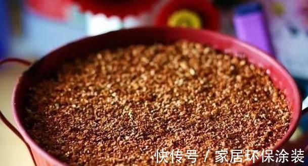 叶插|多肉这样叶插成功率高，分分钟能长根发芽，你清楚嘛