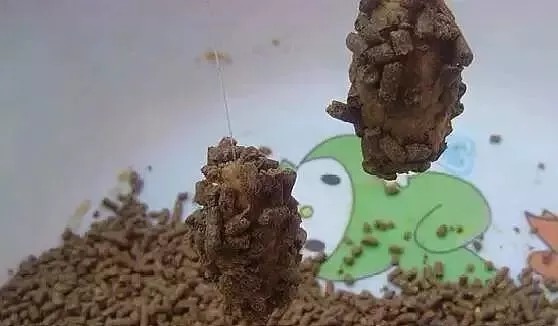 打窝何必买颗粒,2元一斤的小鸡饲料打窝,大鱼进窝快,轻松爆护