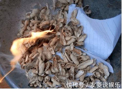 土壤|4种垃圾不会分类别担心,埋在花盆底,叶子绿得直滴油!