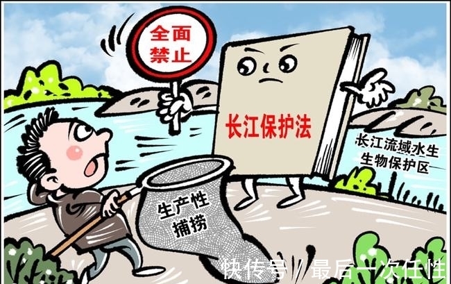 用钓竿钓到10条鲢鱼,2人被罚26000元!长江禁渔十年,能钓鱼吗?