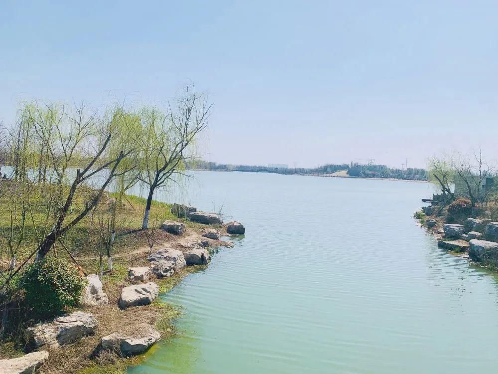 老年|春暖花开!阜城第一波春色来啦~