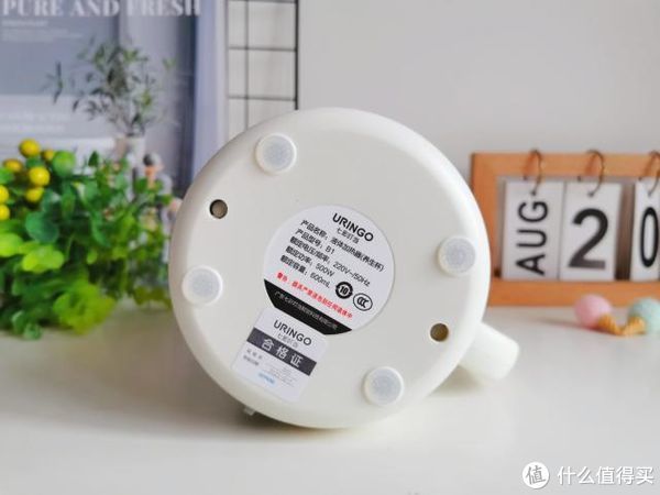 no,no|七彩叮当迷你养生壶,一壶暖时光,开启“轻”生活