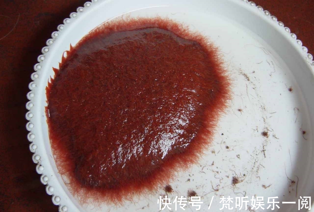 野生鲤鱼的最爱,不是玉米粒,也不是麦粒,而是这三种饵料