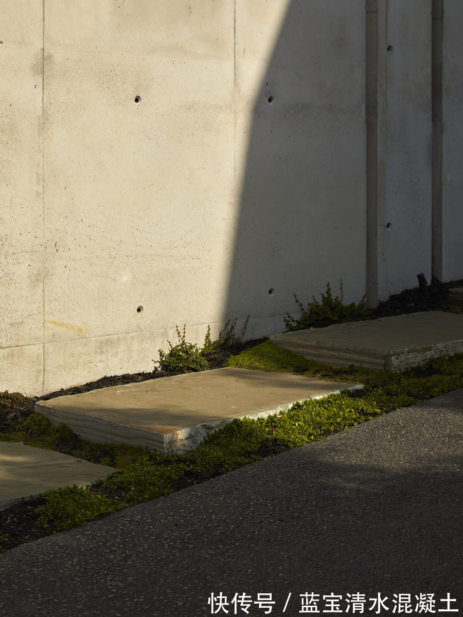 林氏|竹纹清水混凝土建筑:新西兰林氏住宅