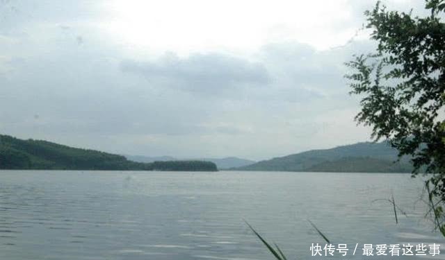 钓白条鱼真是累人,用我分享的方法,只要你下钩,它就在那等你