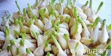 专家|发芽的大蒜不能吃?专家:3种食物发芽后,吃了对人体更好