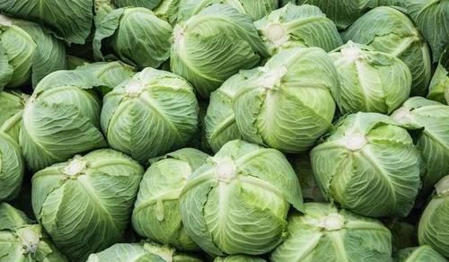 补中益气|夏天女性都吃的食物，不可忽略，增强体质，健脑益智，补中益气