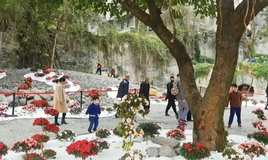 中年|在吗?“原年人”