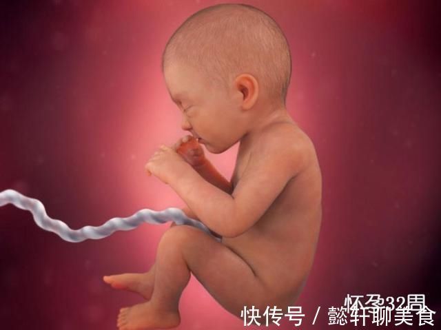 胚泡|组图了解胎儿在子宫中的生长过程,生命太奇妙了!准爸妈们看看