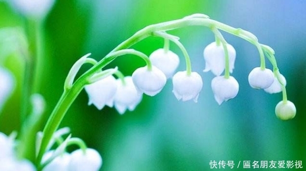 吃饭|“酒是穿肠药,色是刮骨刀”,3种酒局,就算关系再好也不要去