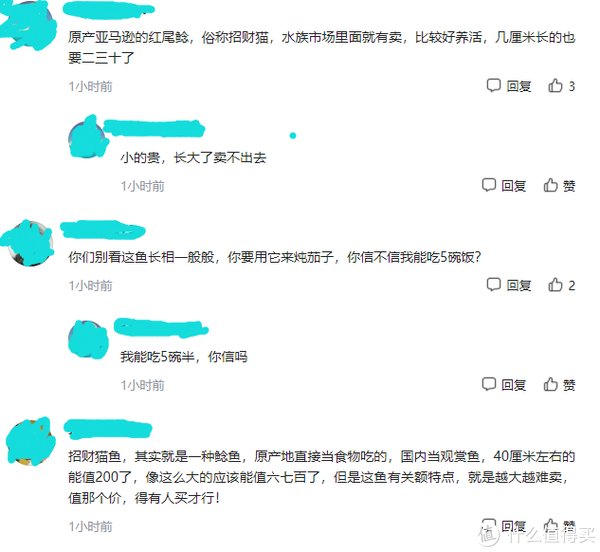 前洲|江苏无锡一男子钓鱼时遇上“招财猫”，网友：能值好几百，赚大了