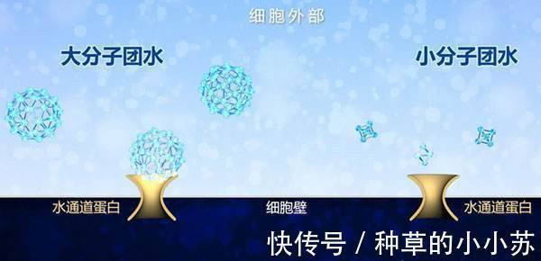 香精|氨基酸洗面奶洗出妈生好皮?当心烂脸!几款详细测评,教你不踩雷