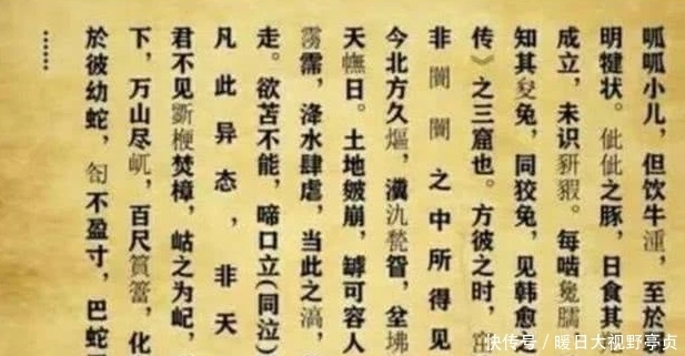  满分|他高考作文仅写755字，有30字阅卷组长也不认识，却被评为满分作文