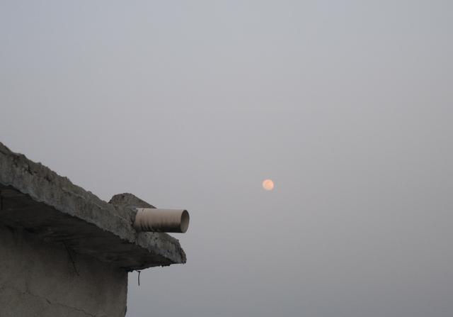 生命|萧红《后花园》:生命的孤独