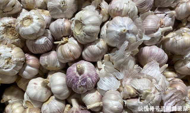 大蒜买多了容易碎三招，不枯萎，不发芽，放一年新鲜