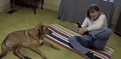 |搞笑gif:说出来你可能不信,我切黄瓜从来不用菜刀