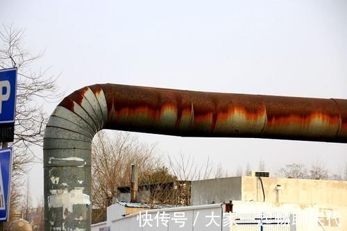 污染物|鼻毛变白，和什么原因有关？越早了解越好，别让身体过早衰老