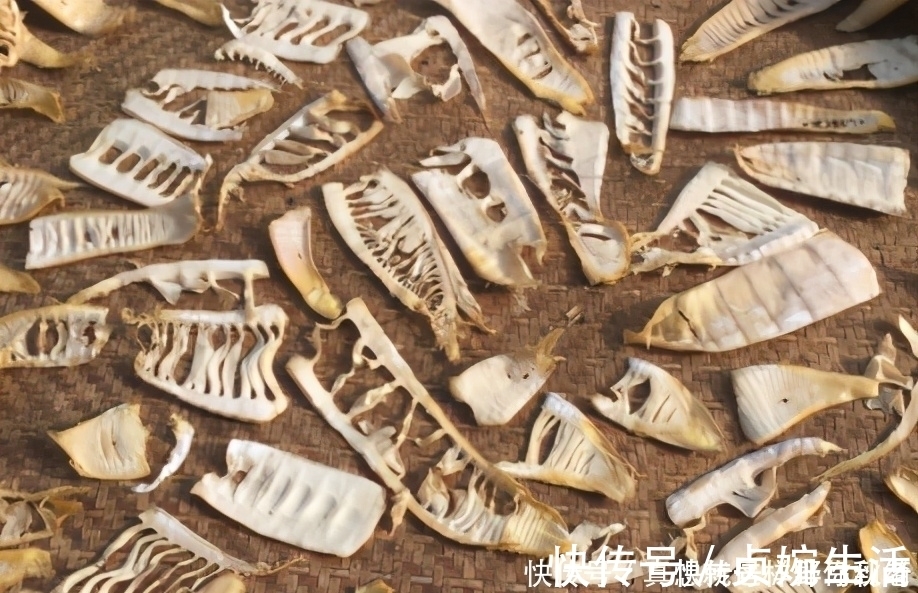 过期|不怕过期的食材，一次性多做点存着，吃到明年也不坏，炖肉香极了